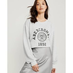 Abercrombie and Fitch Crewneck- gray